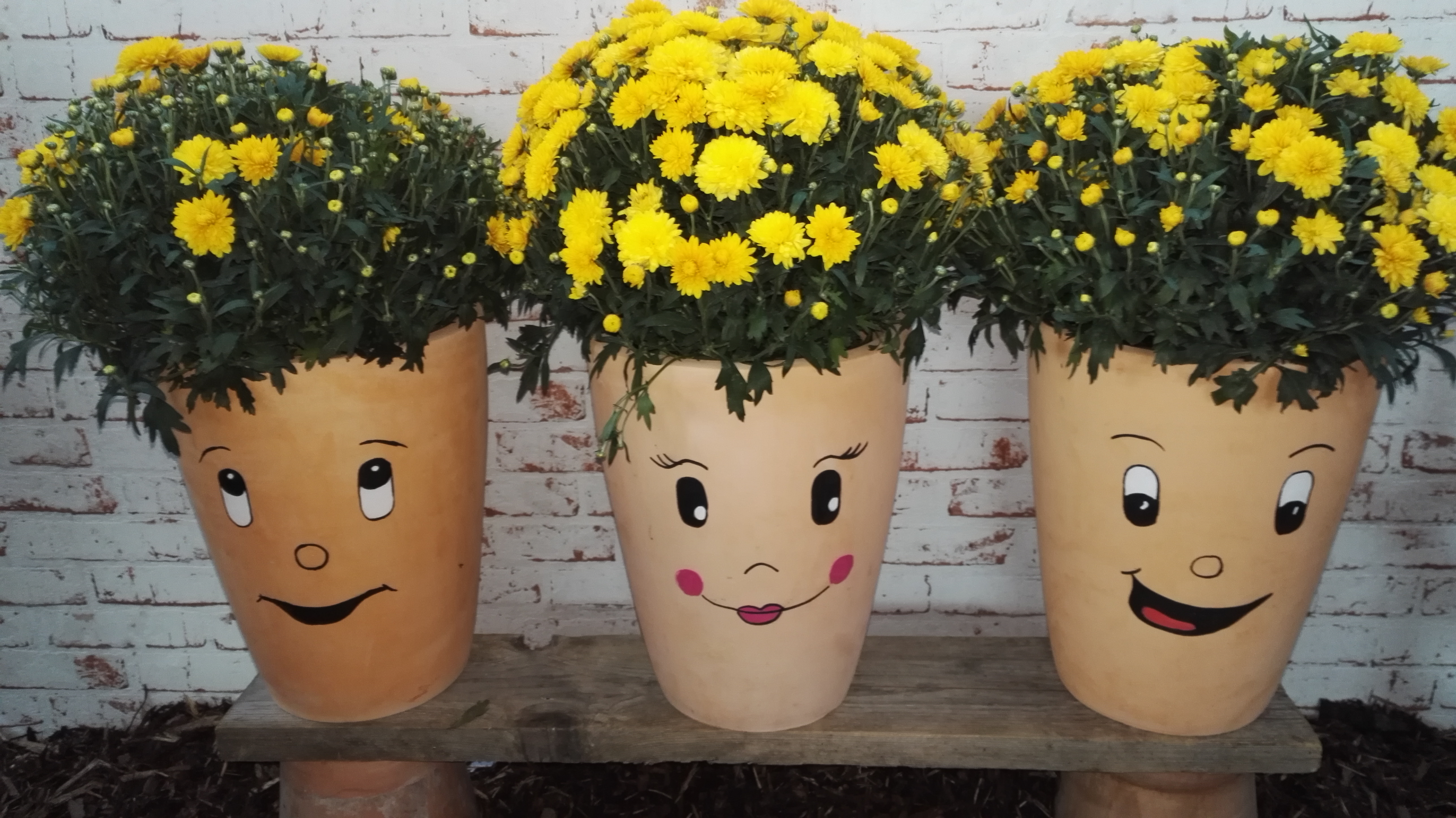 IMG_20170904_190549 IMG_20170904_190549